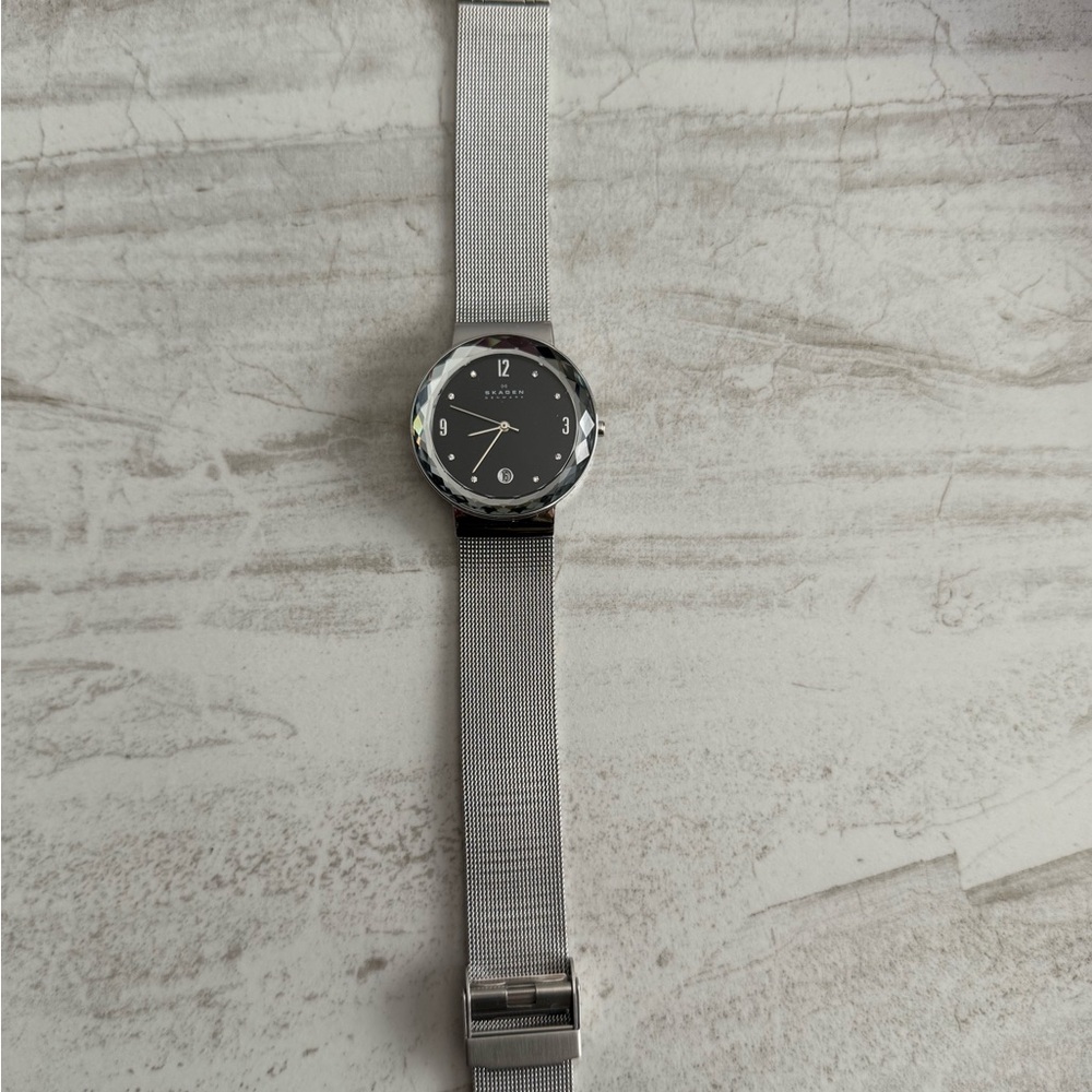 Skagen Stainless Steel Mesh Watch NWOT